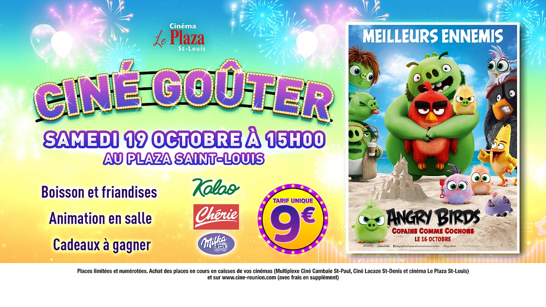 CINE GOUTER ANGRY BIRDS:COPAINS COMME COCHONS